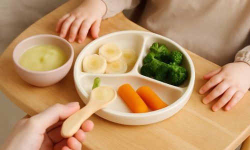 Introdução Alimentar: Um Guia Natural e Afetivo para o Início da Alimentação do Seu Bebê